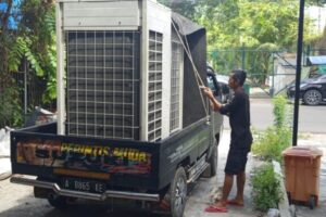 WhatsApp Image 2026-02-01 at 13.39.22 WhatsApp Image 2026-02-01 at 13.39.22